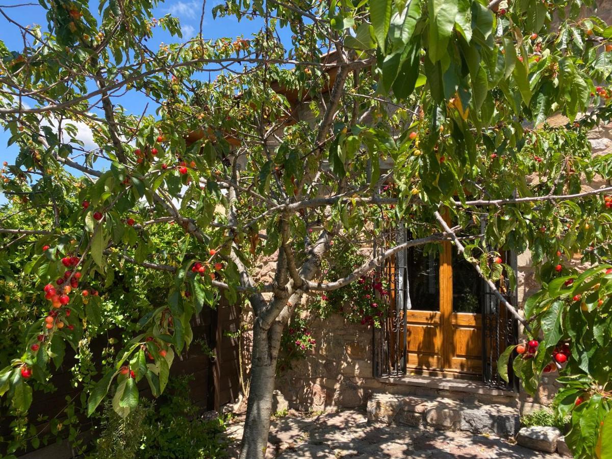 Villa Era De Trespui En Pirineos Peramea Exterior foto